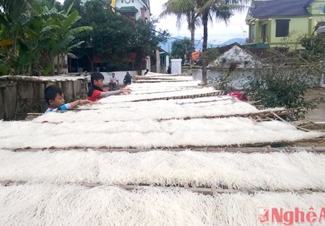 Jica Nhật Bản hỗ trợ xây dựng thương hiệu miến Vân Diên - Nam Đàn