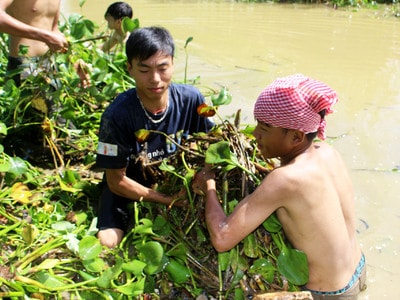 Thanh niên tình nguyện lưng trần đội nắng, lội kênh vớt bèo giúp dân
