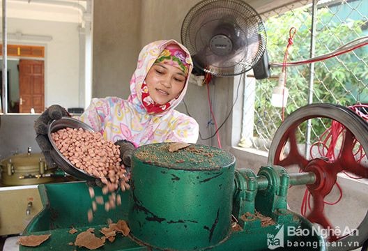 Lạc rớt giá, dân đua nhau đi ép dầu