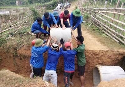 Sinh viên tình nguyện trồng keo, mở đường giúp dân bản