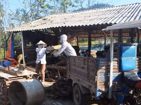 Hơn 53% HTX ở Nghệ An hoạt động cầm chừng