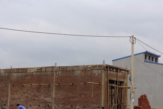 Nạn 'cò mồi' trong đấu giá đất  ở nông thôn