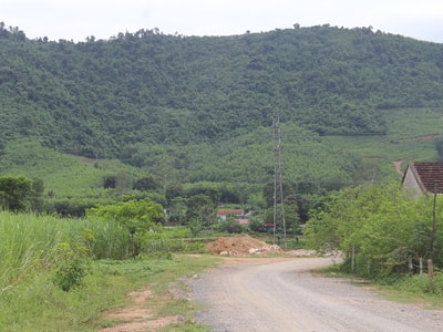 Bất cập trong giao đất lâm nghiệp cho dân