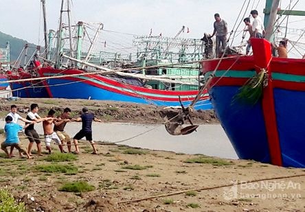 Tàu ra khơi được 2 ngày phải quay về tránh bão