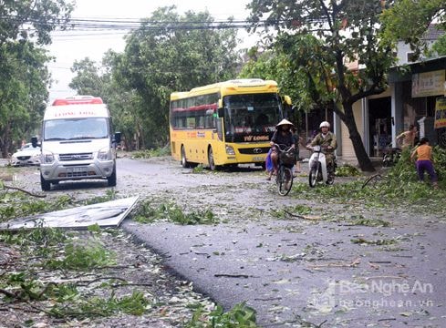 Yên Thành: Quốc lộ 7B ách tắc do cây gãy đổ