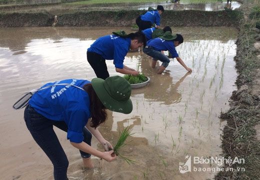 Sinh viên Học viện Tài chính cấy lúa, dạy chữ cho đồng bào Đan Lai