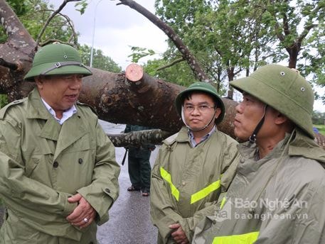 Chủ tịch Nguyễn Xuân Đường kiểm tra công tác khắc phục bão ở Đô Lương