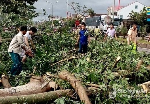 Giải tỏa cây đổ chắn ngang QL 1A, QL46 đoạn qua Nghệ An