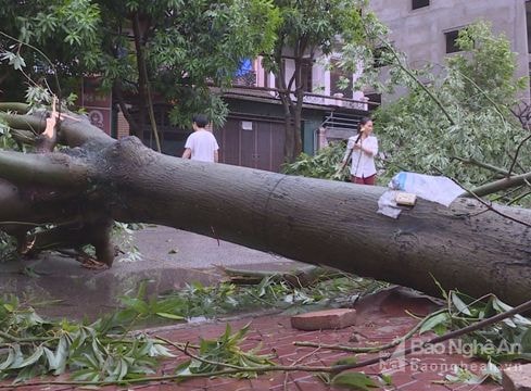 Nghệ An: Thành lập 21 đoàn công tác chỉ đạo khắc phục hậu quả bão số 2
