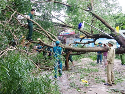 Lực lượng vũ trang tham gia khắc phục hậu quả cơn bão số 2