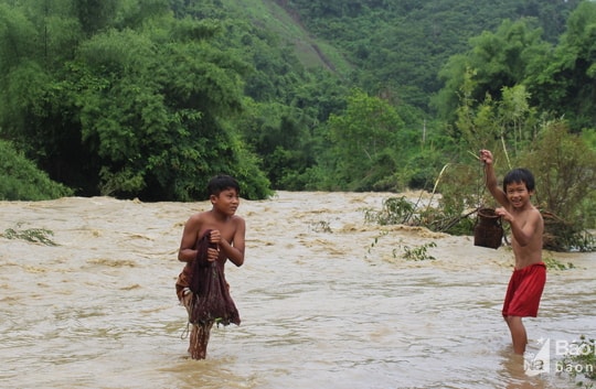 Bất chấp hiểm nguy, người dân dầm mình trong nước lũ đánh cá, vớt củi