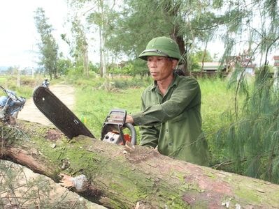 Nghề cưa xăng có thêm thu nhập sau bão
