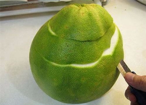 Lý do không nên vứt bỏ vỏ bưởi