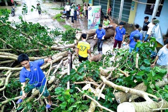 Thanh niên Nghệ An ra quân khắc phục hậu quả cơn bão số 2