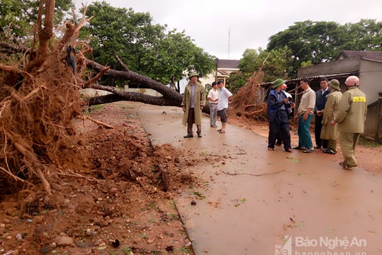 Anh Sơn: Khẩn trương khắc phục hậu quả sau bão