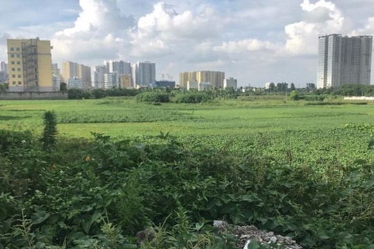 Bệnh viện nghìn tỷ trên giấy, chiếm đất vàng