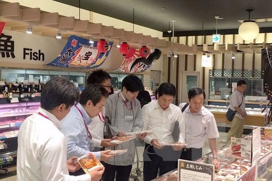 Cá tra Việt Nam đạt tiêu chuẩn hàng đầu trong hệ thống siêu thị Nhật