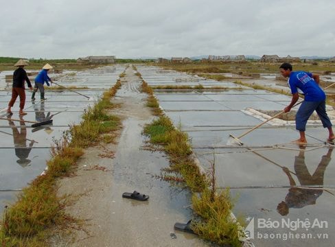 Diêm dân Nghệ An tiếp tục sản xuất muối sau bão