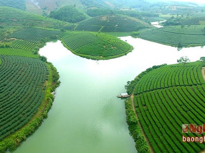 Tranh giành khách ra đảo chè, chủ thuyền chém đứt tay đối thủ