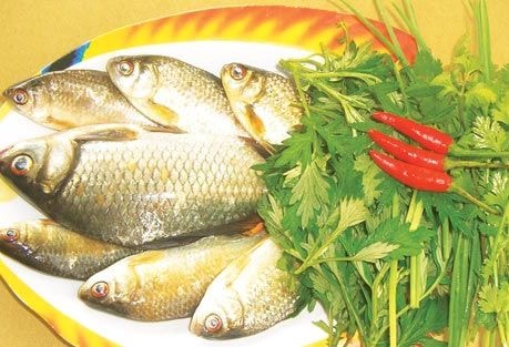 Cá diếc bổ huyết, ích thận