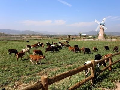 Dấu ấn về doanh nghiệp có giá trị thương hiệu lớn nhất Việt Nam