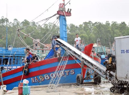 Nghệ An: Trên 85% tàu thuyền đã được đăng kiểm chất lượng