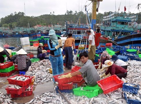 Sản lượng đánh bắt thủy sản ở Nghệ An tăng 11, 68%