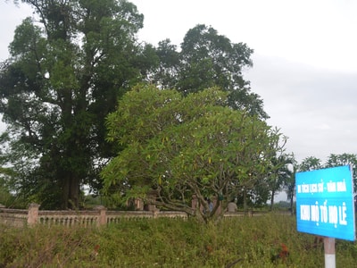 Thực hiện quy hoạch phân khu chi tiết xã Nghi Liên (TP. Vinh): Lắng nghe ý nguyện của dân