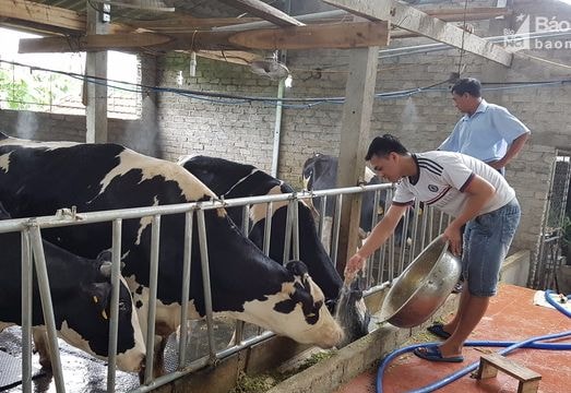 Đồng hành giúp người dân nâng cao thu nhập