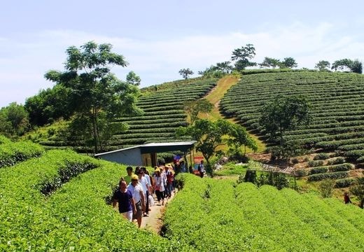 Du lịch Nghệ An: Càng khó khăn thì càng phải thi đua