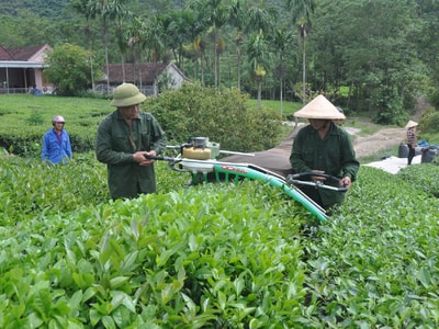 Dấu ấn miền trung du Hoa Quân
