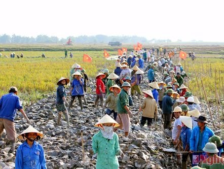 Nghệ An: 31 xã giảm gần 100 tỷ tiền nợ đọng NTM