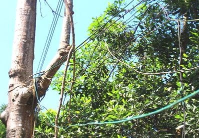 Hãi hùng với muôn kiểu mắc điện ở miền Tây Nghệ An