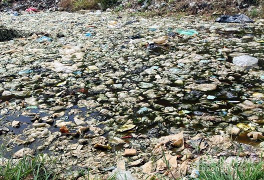 Báo động ô nhiễm nguồn nước ở miền núi Nghệ An