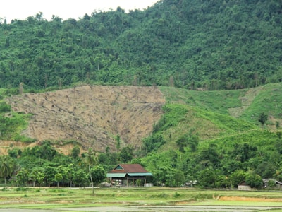 Loay hoay tìm giải pháp bảo vệ voi rừng