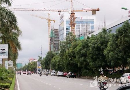 Cần cẩu tháp xoay ra đường: Chủ tịch UBND tỉnh chỉ đạo kiểm tra sau khi Báo Nghệ An phản ánh