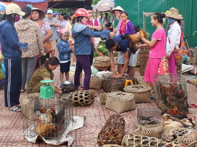 Tương Dương: Chợ Tam Thái tăng phiên vì dân 'mê' thực phẩm sạch