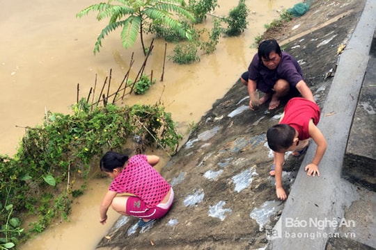 Nước sông dâng cao, người dân đổ xô đi bắt giun đất