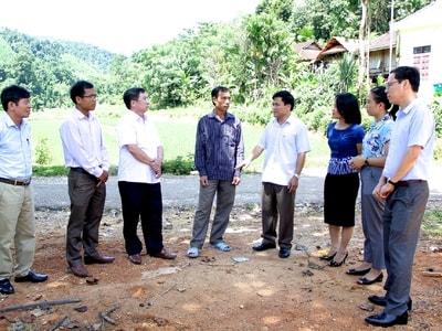 Quế Phong: 13 năm không thực hiện cấp giấy chứng nhận đất lâm nghiệp