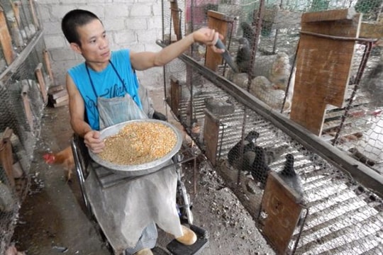 Đôi cánh của 1.000 con bồ câu nâng cuộc sống người đàn ông còn 3% sức khỏe