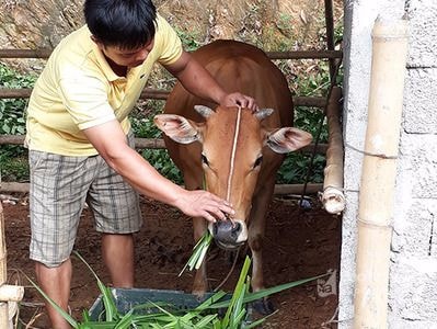 Con Cuông: Rõ hiệu quả thoát nghèo từ 135