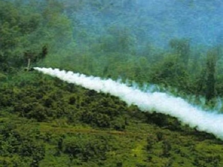 Chất độc da cam - Nỗi đau còn đó