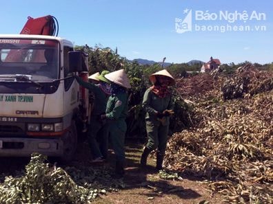 Bắt quả tang xe đơn vị cây xanh TP. Vinh xả rác sai quy định