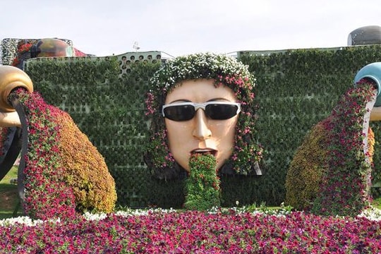 'Đã mắt' với vườn hoa trong lòng sa mạc