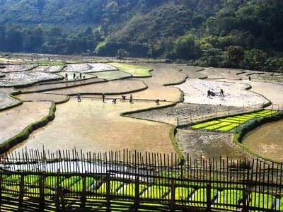 Nghệ An: Gần 10.000 hộ hưởng lợi chương trình 135