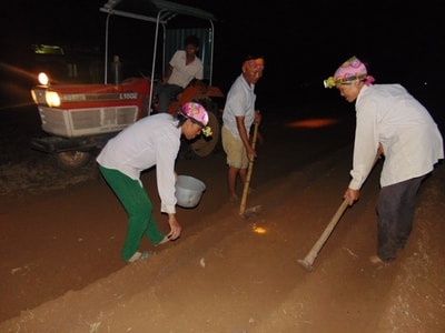 Nông dân Nghệ An gieo trỉa vụ đông ban đêm để tránh nắng