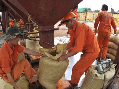 Thức ăn chăn nuôi: Nghịch lý thiếu, thừa