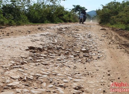 Đầu tư, nâng cấp tuyến đường vận chuyển nguyên liệu mía ở Anh Sơn