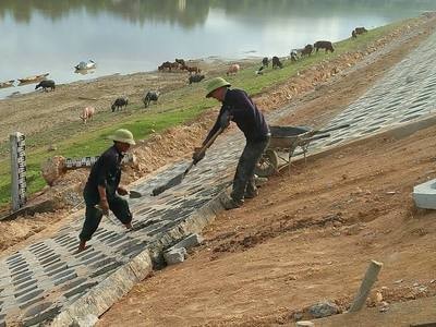 Gấp rút thi công dự án nâng cấp đê Tả Lam