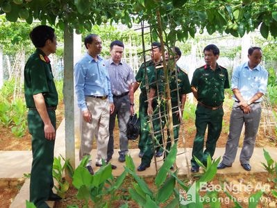 Đoàn Kinh tế quốc phòng 4: Xây dựng kinh tế gắn với nhiệm vụ quốc phòng vùng biên